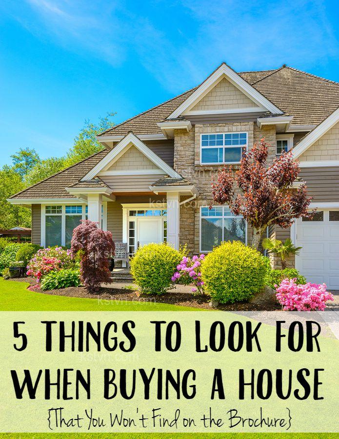 What to look for when buying